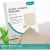 imageDimora Upgrade Silver Calcium Alginate Wound Dressing Antibacterial Non Stick Gauze Highly Absorbent Sterile Bandage Pads4 x 4 Patches 5 PacksUpgrade Ag alginate 5pack