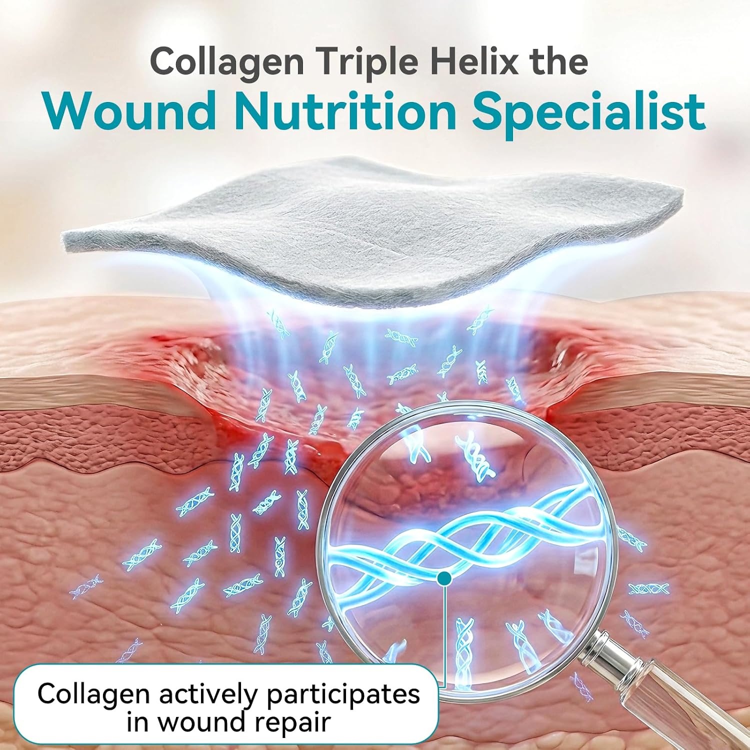 image:imageDimora Collagen Wound Dressing 100 Bovine Type I Collagen Sponge High Absorbency 4X Fluid Biodegradable for Chronic amp Acute Wounds Promotes Faster Healing 2X2 5PCS225PCS
