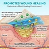 image:imageDimora Calcium Alginate Wound DressingampDimora Silicone Super Absorbent Wound Dressings